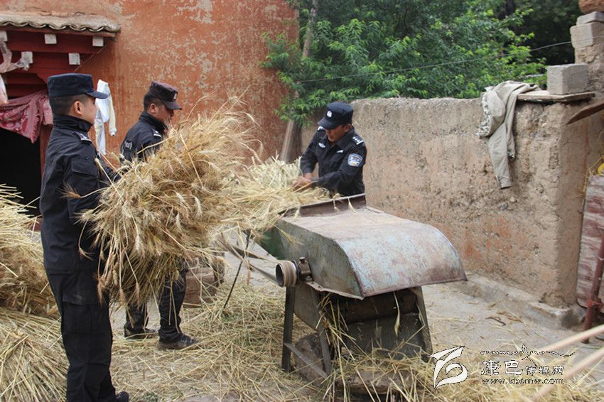 民警助農收麥忙(康巴傳媒網(wǎng)首屆紀實攝影大賽)