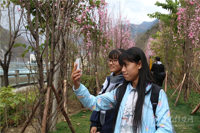 春光俏！“醉”是瀘定春三月，踏青賞花正當(dāng)時(shí)