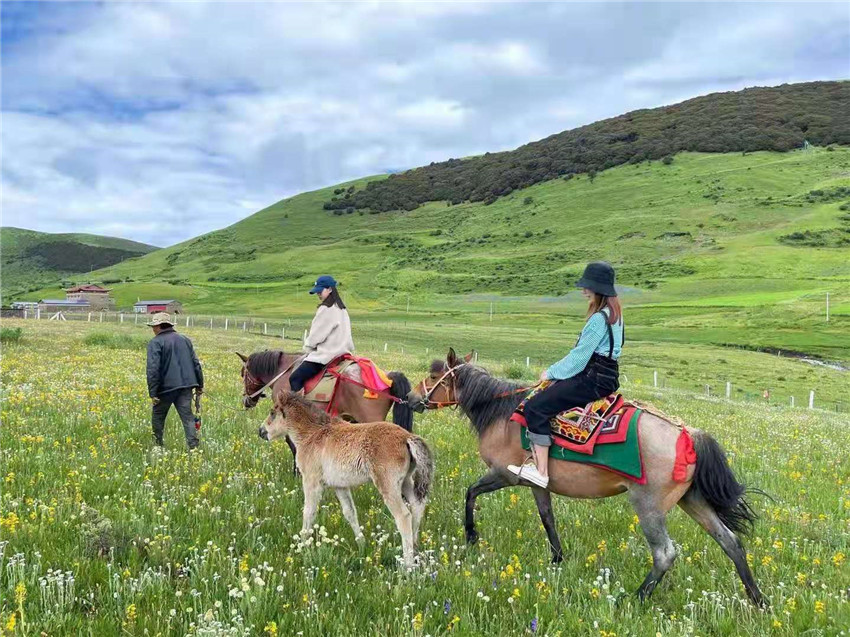游客在祝?；êｓw驗(yàn)騎馬  任剛.jpg