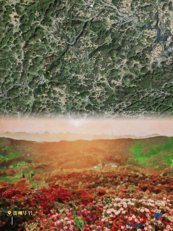 清明游玩賞花圖鑒來(lái)了！衛(wèi)星鏡頭帶你先睹為快