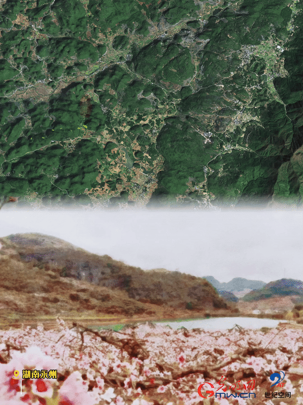 清明游玩賞花圖鑒來(lái)了！衛(wèi)星鏡頭帶你先睹為快