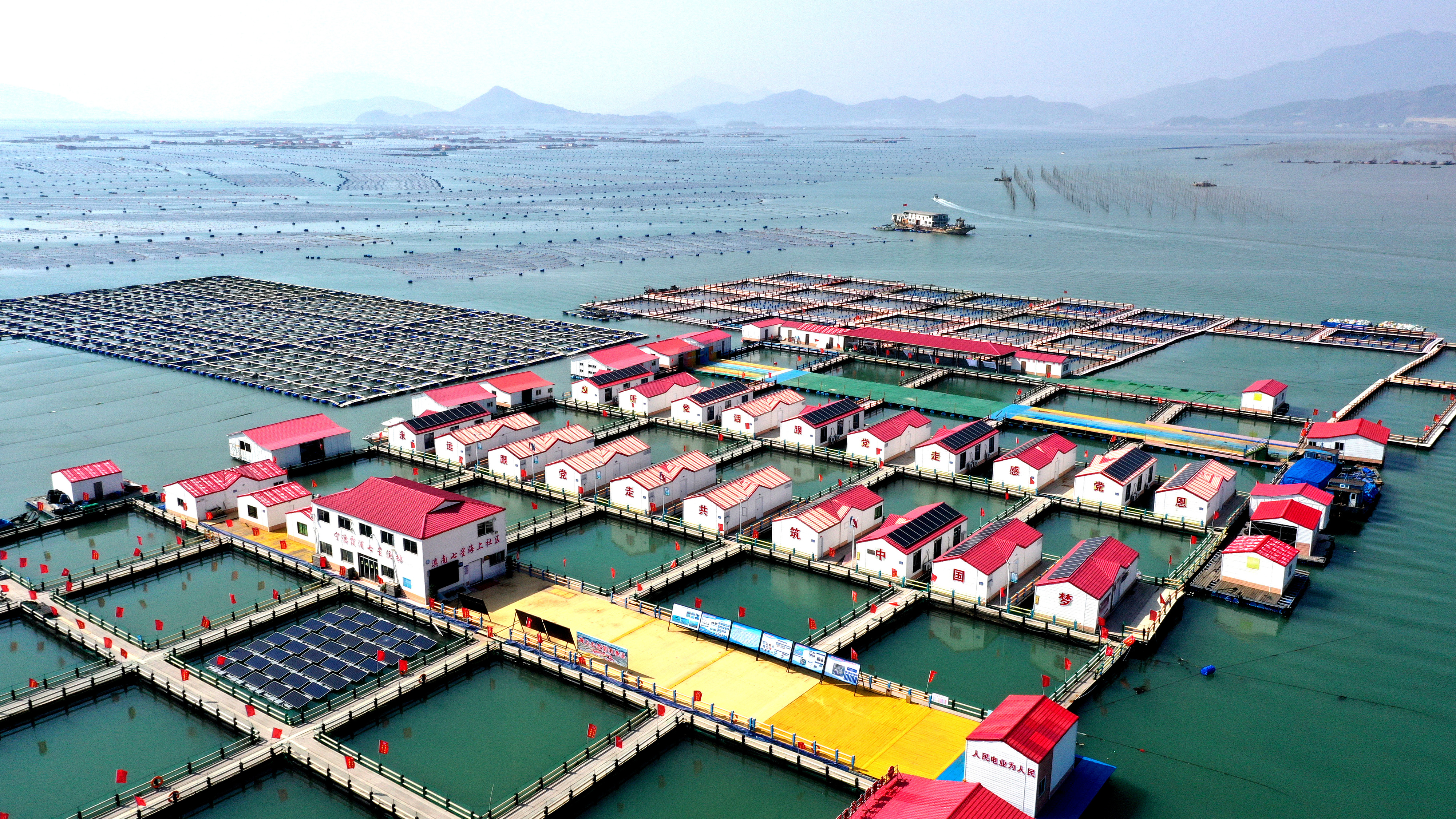 2024年3月20日，福建省寧德市，霞浦縣溪南鎮(zhèn)七星村漁排養(yǎng)殖示范區(qū)，漁民駕駛養(yǎng)殖船進(jìn)行海參養(yǎng)殖作業(yè)。