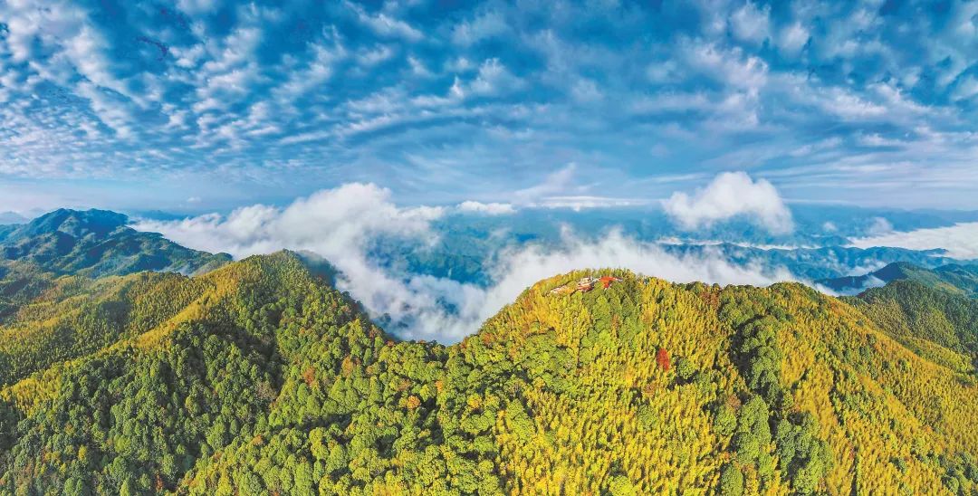 　三明森林生態(tài)環(huán)境優(yōu)美。